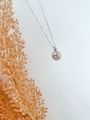 Img 4831